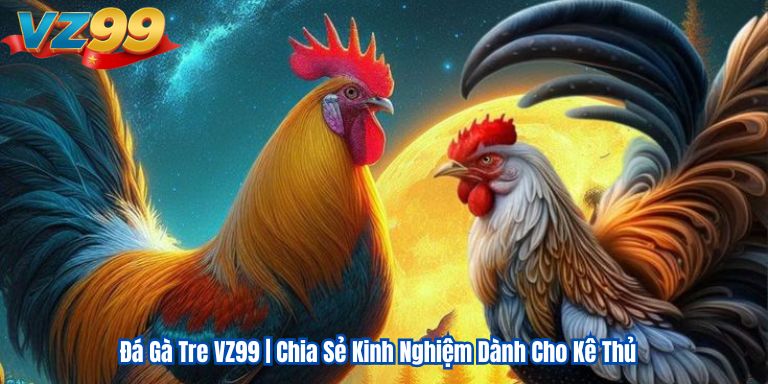 Đá Gà Tre VZ99 | Chia Sẻ Kinh Nghiệm Dành Cho Kê Thủ 1 da-ga-tre-vz99-chia-se-kinh-nghiem-danh-cho-game-thu